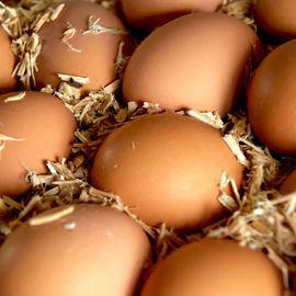 From the Farmer's Mouth: Eggs 101